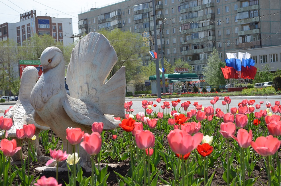 Городская клумба Оренбург