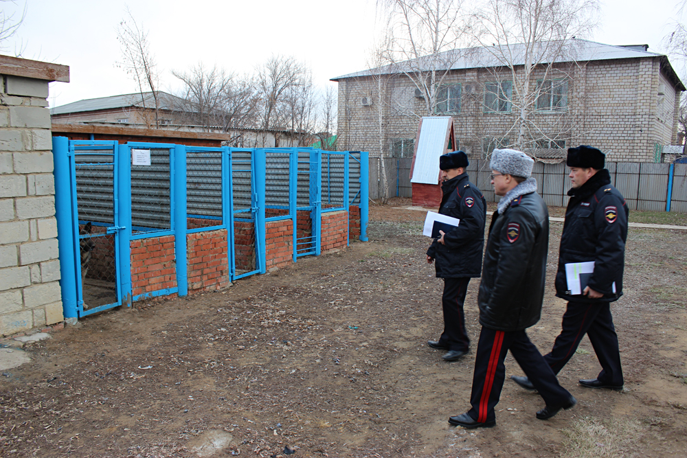 Первомайский объявления о вещах Foto 16