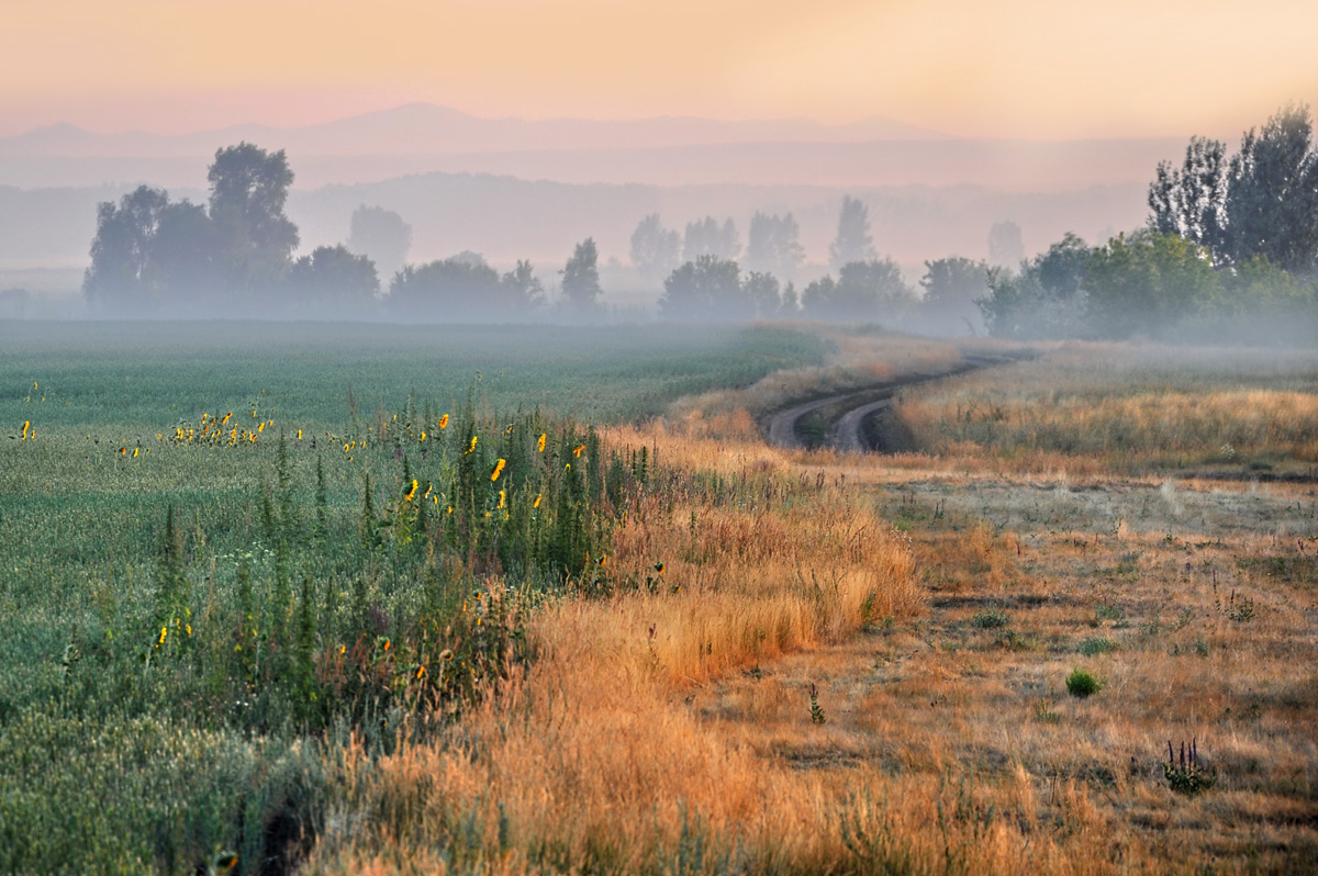 Оренбург природа. Природа степь Оренбург. Степь пейзаж Оренбург. Красота оренбургских степей. Оренбургская степь в августе.