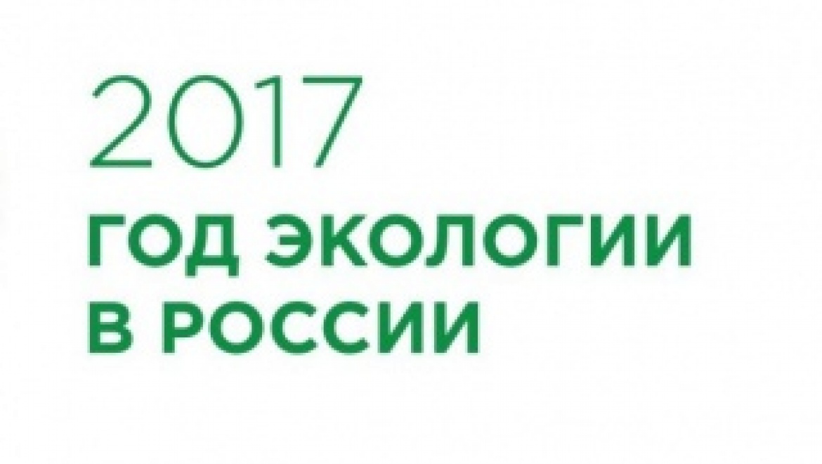 Экологический совет подвел итоги природоохранной деятельности в 2016 году 