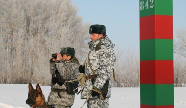 Волк пограничник картинки